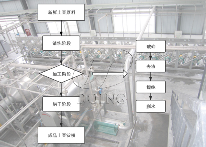 土豆淀粉生產(chǎn)加工設備